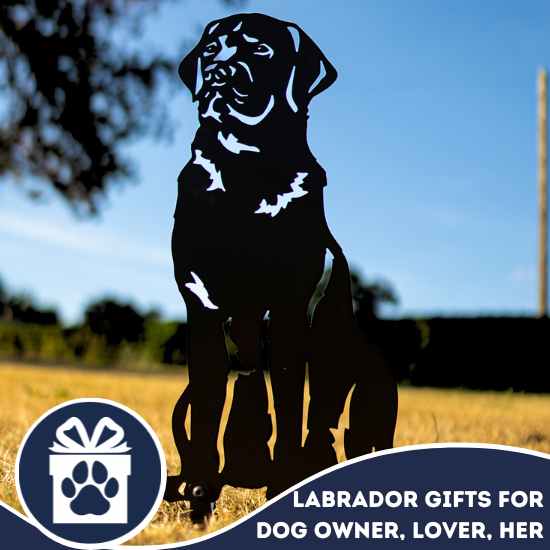 Best Black, Chocolate, Red Fox Labrador Gifts Ideas For Your Top Dog