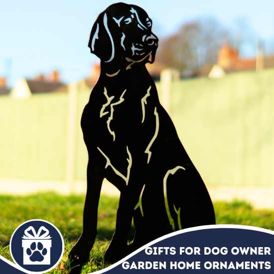 Art Gifts For Black Lab Owners Labrador Retriever Magnet Black Lab