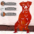 Jack Russell Terrier Metal Statue Dog Garden Ornament Home Decoration Gift