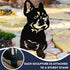 French Bulldog Dog Loss Boston Terrier Garden Memorial Stone Statue Ornament