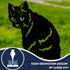 Black Cat Lover Owner Gift Sculpture Garden Ornament