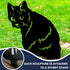 Black Cat Loss Garden Ornament Memorial Personalised Statue