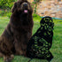 Newfoundland Sculpture Dog Lover Owner Gift Garden Ornament