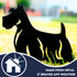 Scottish Terrier Dog Loss Garden Ornament Memorial Personalised Statue