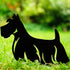 Scottish Terrier Dog Loss Garden Ornament Memorial Personalised Statue