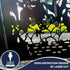 Metal Fence Panels and Posts, Autumn Garden Steel Fencing Screens