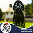 Labradoodle Cockapoo Statue Garden Ornament Dog Lover Owner Christmas Gift