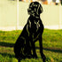 Weimaraner Vizsla Pointer Dog Loss Garden Ornament Memorial Personalised Statue