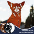 Chihuahua Sculpture Dog Lover Owner Gift Garden Ornament