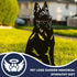 German Shepherd Alsatian Dog Loss Garden Ornament Memorial Statue