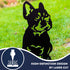 French Bulldog Dog Loss Garden Ornament Memorial Personalised