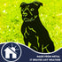 Staffordshire Bull Terrier Dog Loss Garden Ornament Memorial Personalised Statue