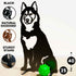 Husky Malamute Dog Loss Memorial Statue Personalised Sculpture