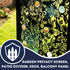 The Exotic Garden Garden Fence Panels Privacy Screens with Glass inserts, Metal, Laser Cut, Black Powder Coated. Made in UK