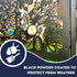 The Exotic Garden Garden Fence Panels Privacy Screens with Glass inserts, Metal, Laser Cut, Black Powder Coated. Made in UK