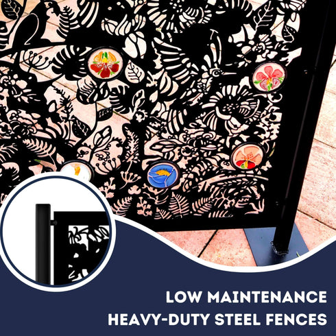 The Exotic Garden Garden Fence Panels Privacy Screens with Glass inserts, Metal, Laser Cut, Black Powder Coated. Made in UK