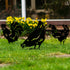 Chickens Garden Ornament Metal Birds Decoration