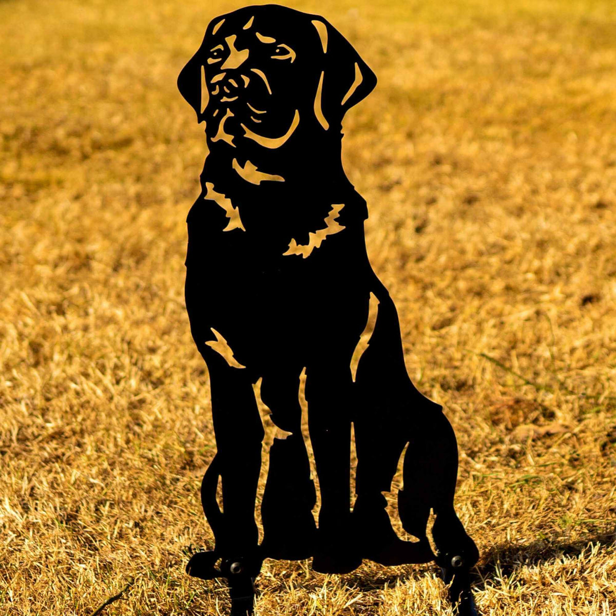 thumbnail image 2 of Leonardo Puppy Love Labrador Ornament – Black Lab & Chocolate Labrador Retriever Resin Figurine 2 of 5