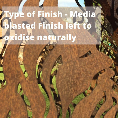 Type of Finish - Media blasted Finish left to oxidise naturally.